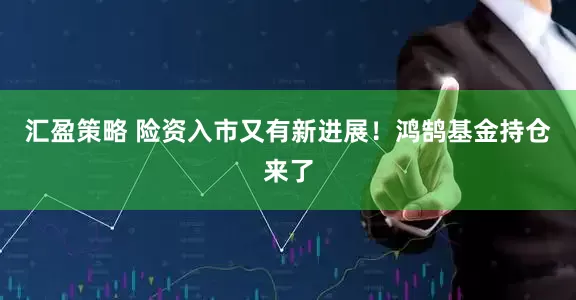 汇盈策略 险资入市又有新进展！鸿鹄基金持仓来了