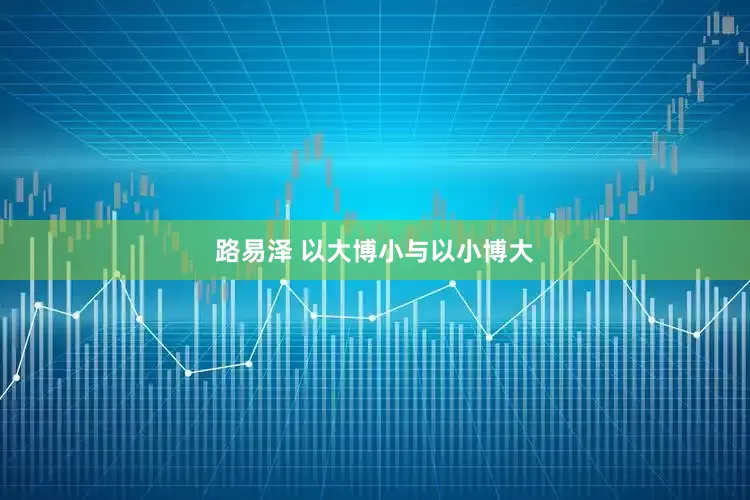 路易泽 以大博小与以小博大