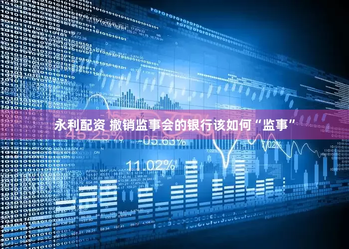 永利配资 撤销监事会的银行该如何“监事”