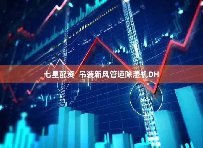 七星配资  吊装新风管道除湿机DH