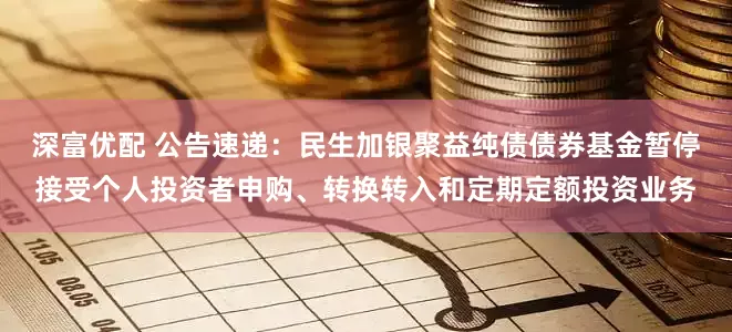 深富优配 公告速递：民生加银聚益纯债债券基金暂停接受个人投资者申购、转换转入和定期定额投资业务